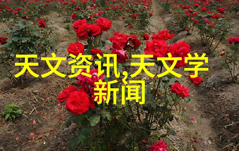 环保型化工颗粒剂生产线设计原则
