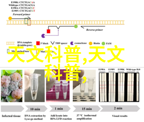 探究小厨房装修效果图中的空间效率与美学协调原则