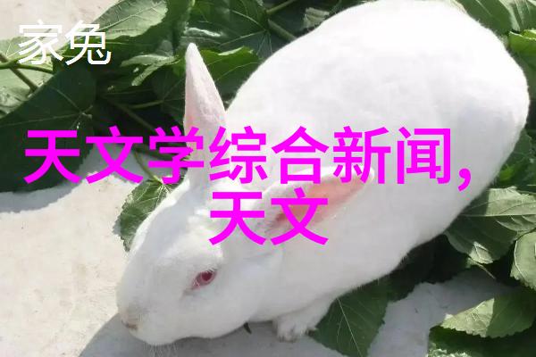 五金件的魅力从工具到装饰的万用物品