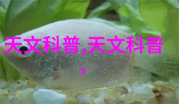 水质检测的指标-清澈源自标准揭秘水体健康的关键参数
