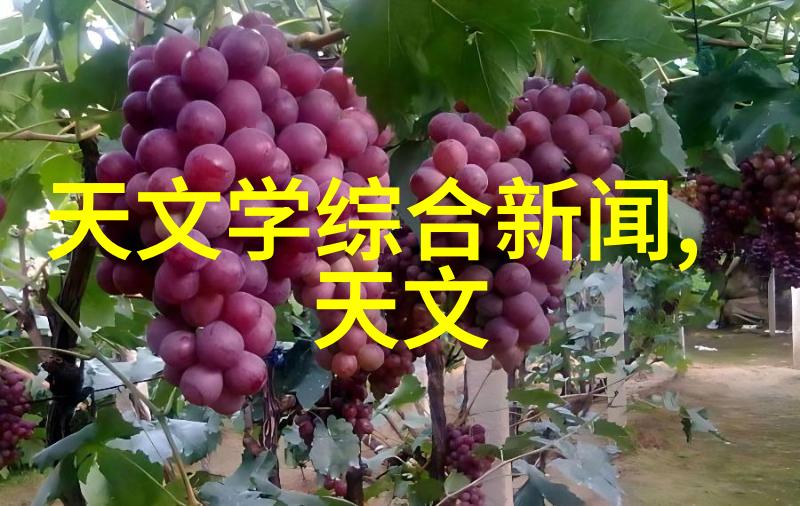 制冷设备维修-冰箱空调不凉揭秘制冷设备常见故障与维修技巧