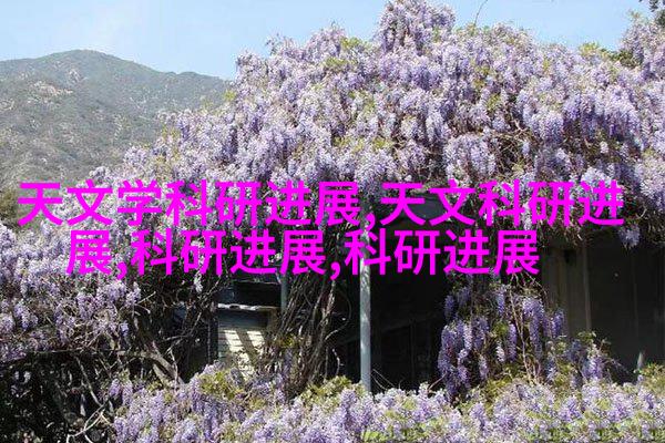 膨胀阀门