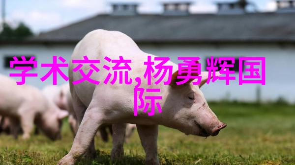 破碎机型号及规格解析提升石料加工效率的关键