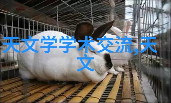 分离合成机价格高端音频设备的成本分析
