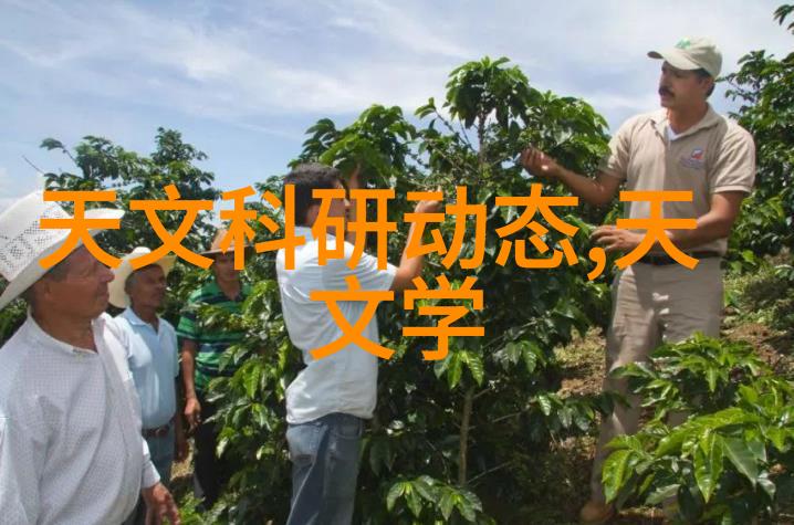 路基填料中最好的填料是探索优质材料的选择与应用