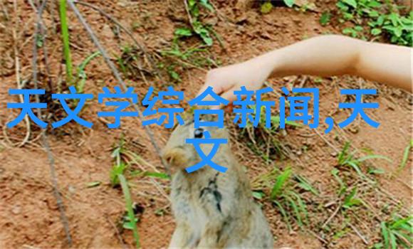 什么是理想的人才素养人才素质测试应该怎样设计来评价这一点