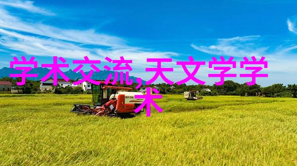 命名之道八字解析与生辰合璧的艺术