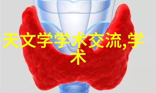 不锈钢陶瓷填料-超耐磨的绿色选择如何提升工业清洁效率