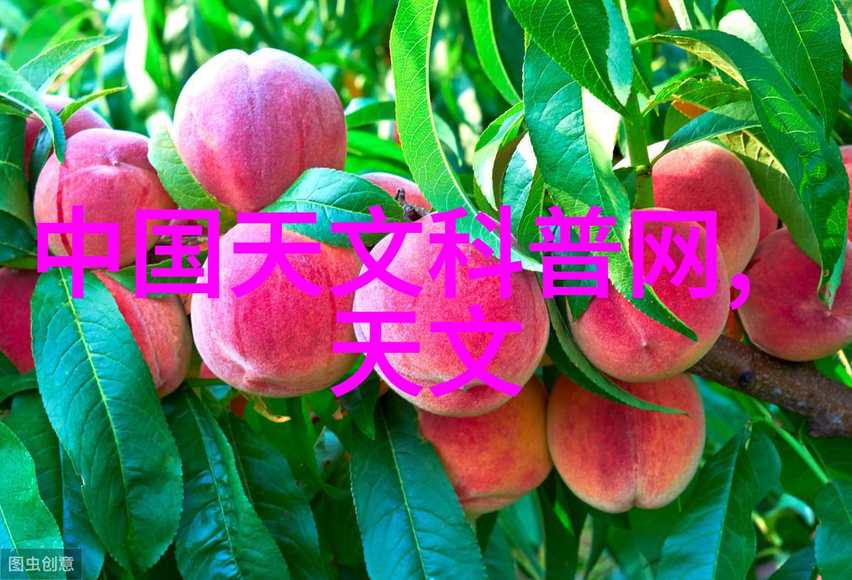 房屋装修设计效果图-精致居家梦想从平面图到实景展现
