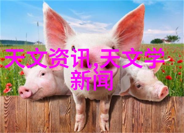 管式離心分離機在血液制備中的重要性分析
