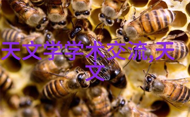 上海财经大学培养金融精英的殿堂