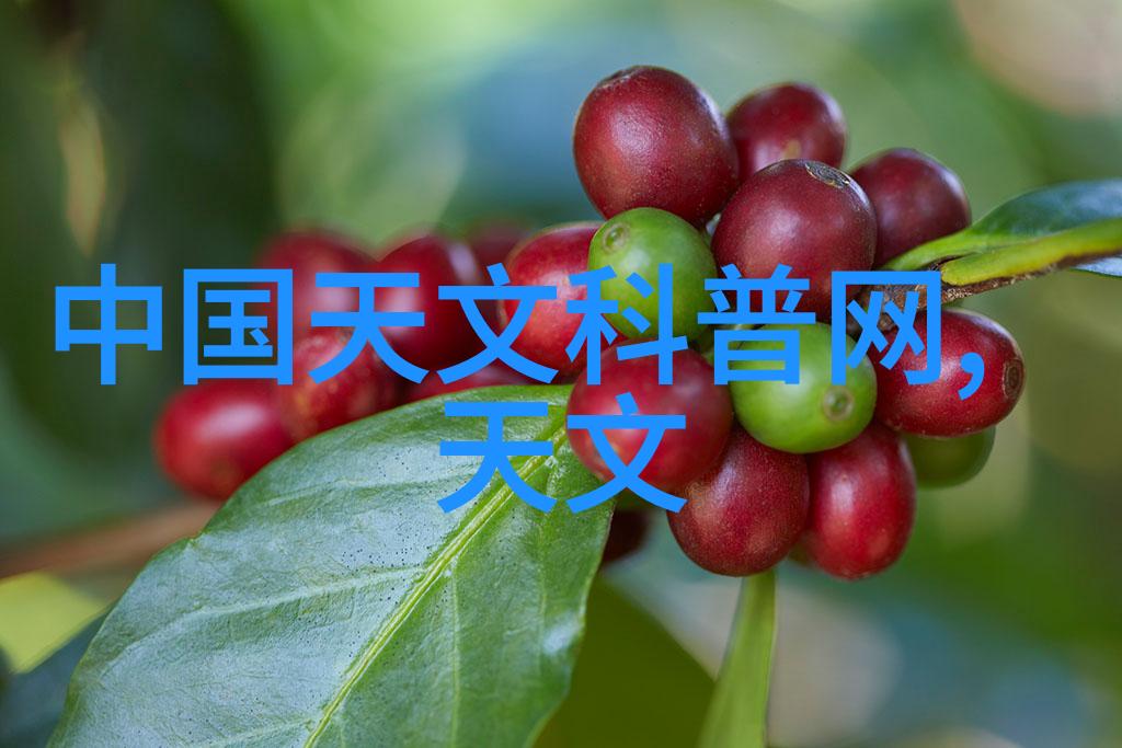 微芯之星中国2022年芯片强军新篇章