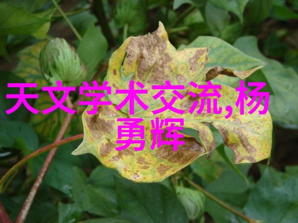 家用洗涤废水处理系统让清洁更环保