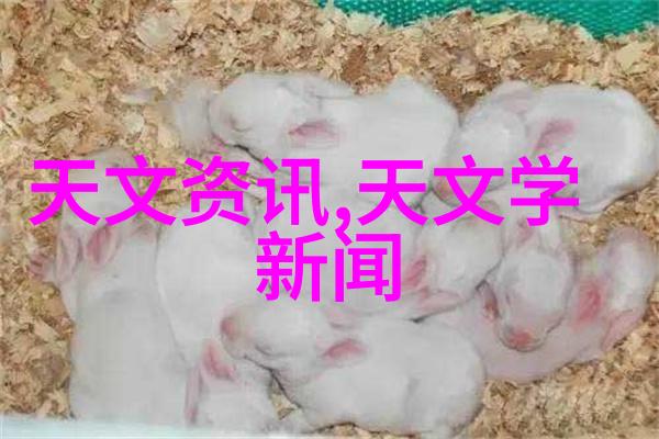 网织密度的奥秘探索丝网孔隙率的艺术与科技