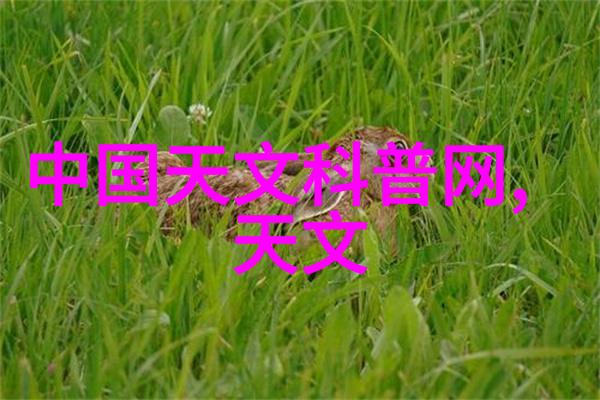 机器人总动员高清下载-激战未来揭秘机甲世界的奥秘与冒险