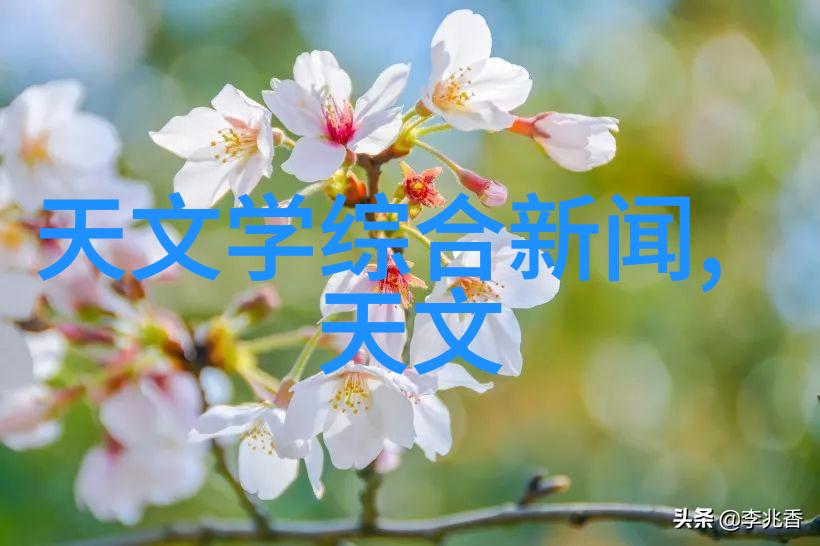 化工药品直接包装机械您的好帮手