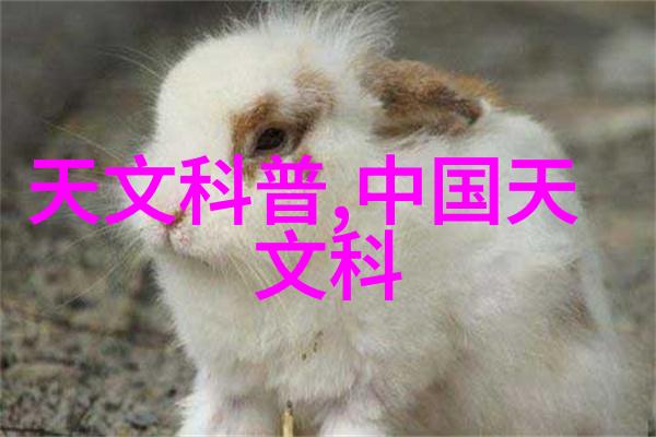 2023年最新装修风格效果图大集合探索未来家居设计的美学