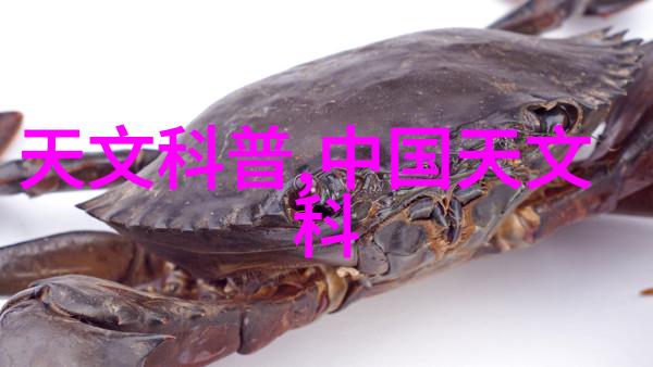 免费的职业测评系统我要揭秘你的梦工厂藏在哪里