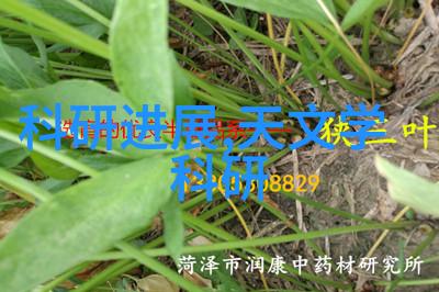 从一室一厅到二室一厅家居升级的智慧选择