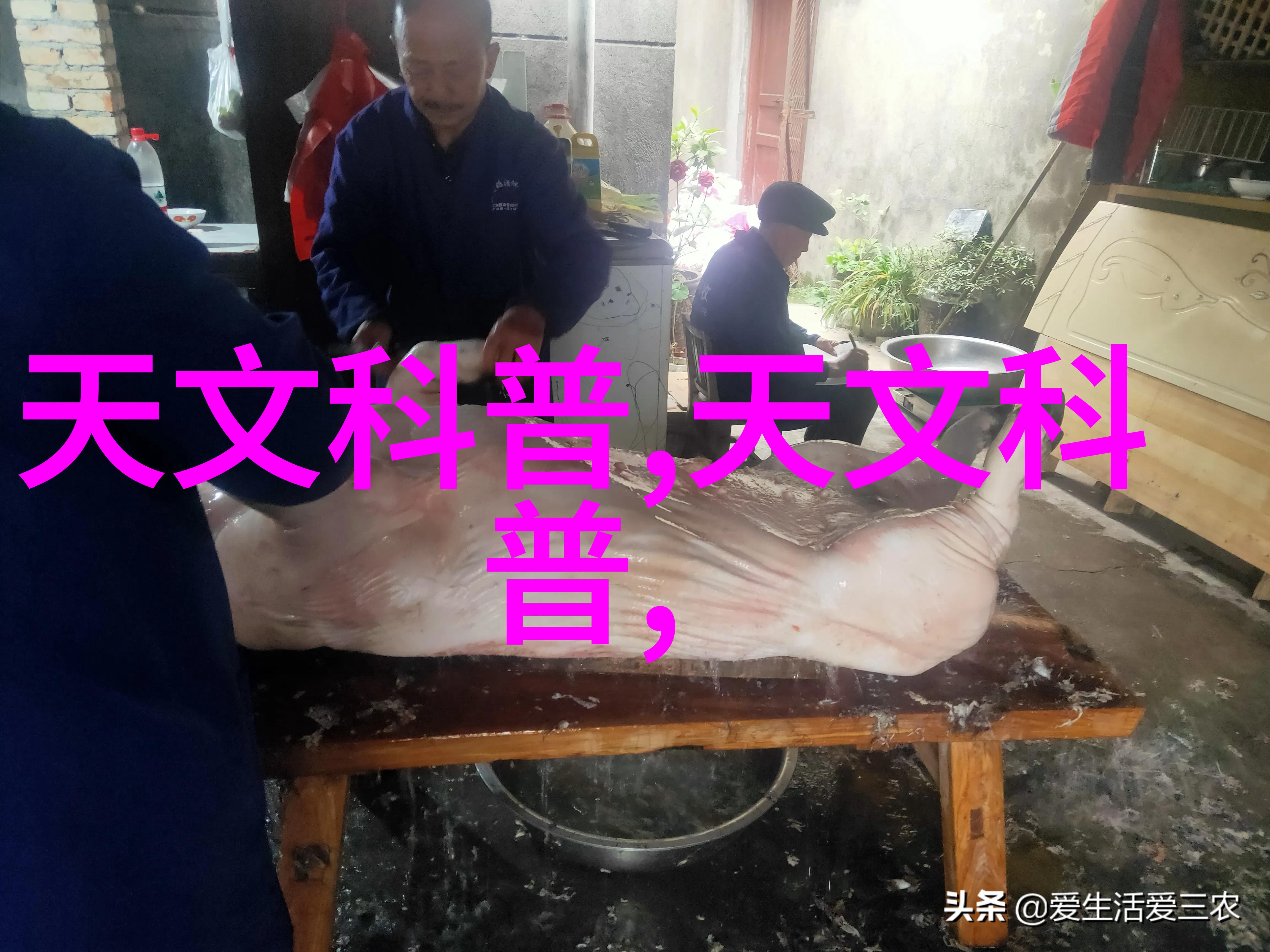 完美起始撰写申请报告的开篇模板