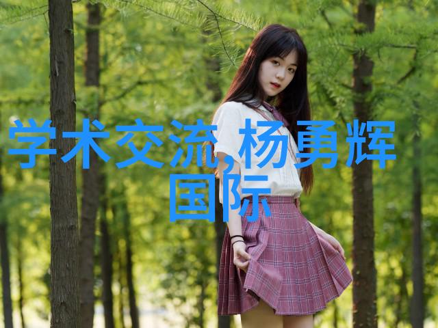 移动式泥石分离机重塑建筑现场的效率与环保标准