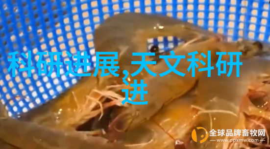 苹果iPhone5s深度评测手机性能体验
