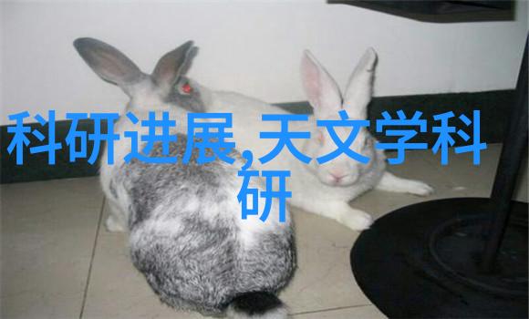 对对于创新的应用我们可以期待哪些新的技术手段将被采纳