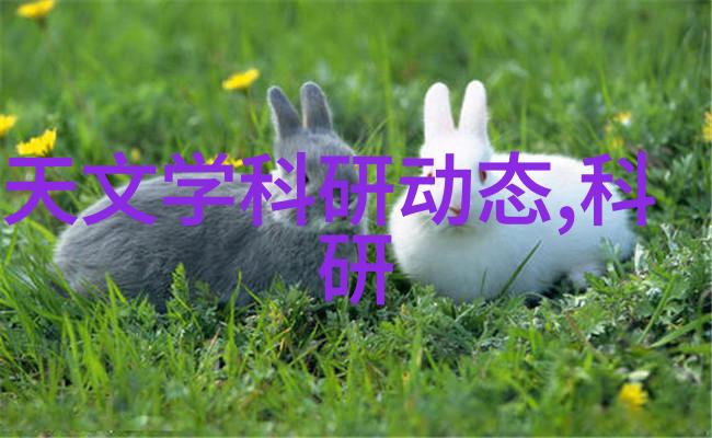 二手房装修我是怎么把旧屋变成家中的故事