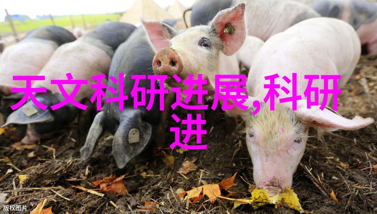 赵晓东的主角之旅