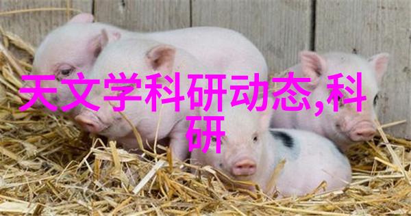 家居美学如何从这些客厅装修效果图片中获取灵感