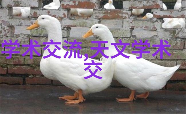 厨房隔断装修效果图-美观实用的空间再分割与整体风格融合