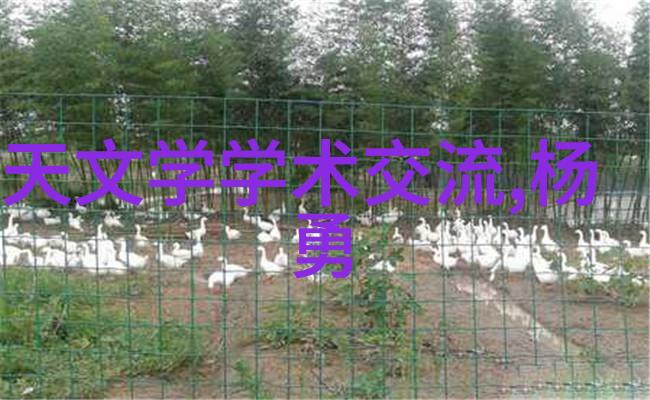 现代简约风格