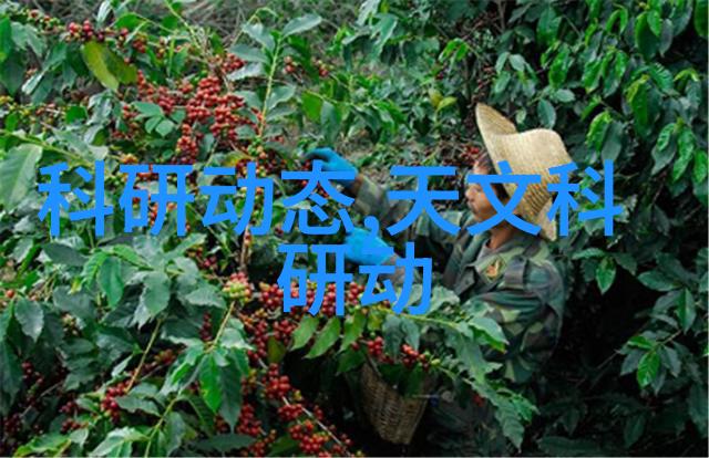 了解更多关于壁纸和壁布选购指南