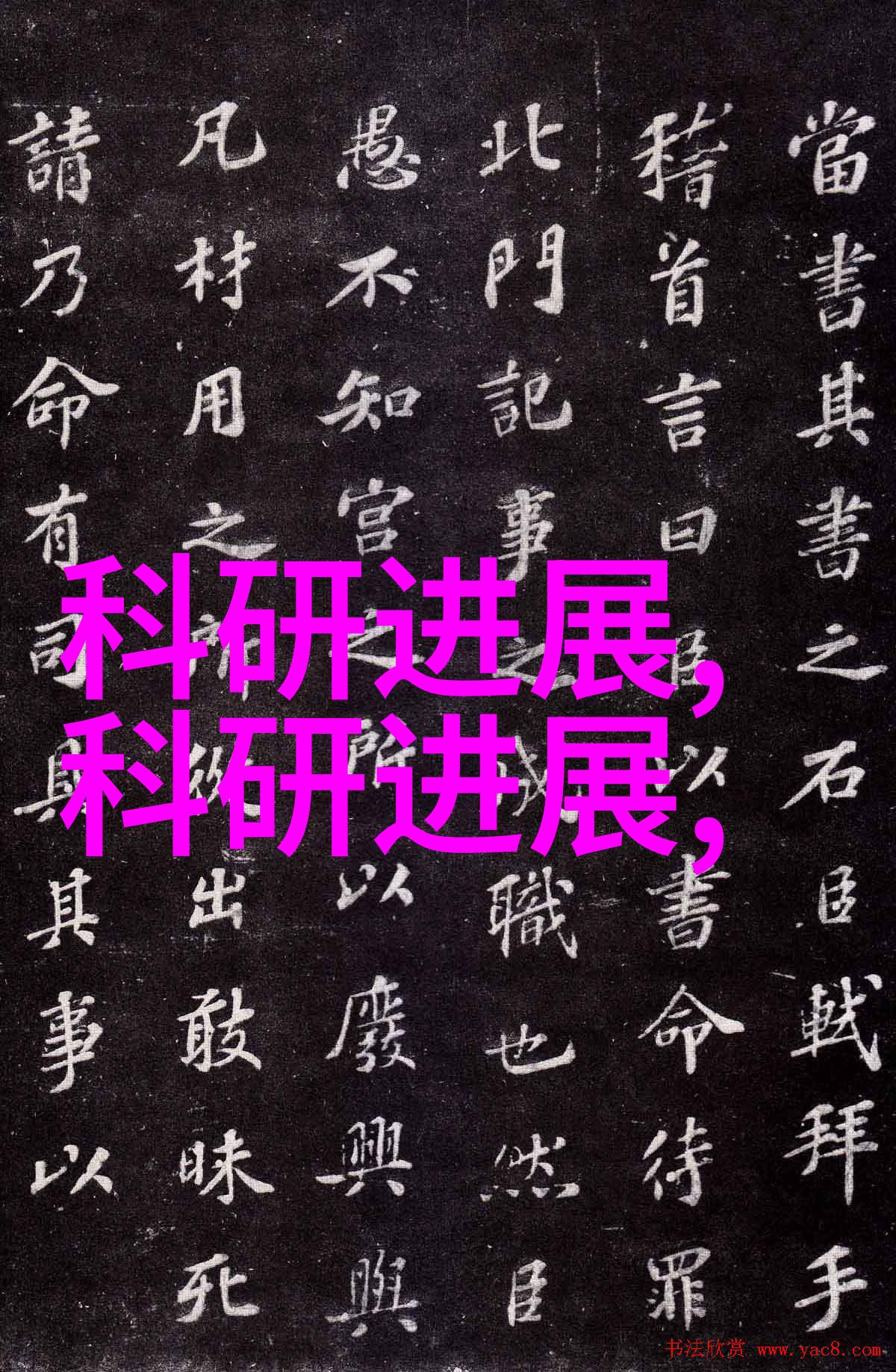 宿舍四楼的秘密花园