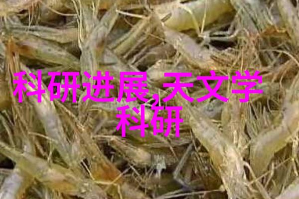 高效清洁大型商用净水器的选择与维护