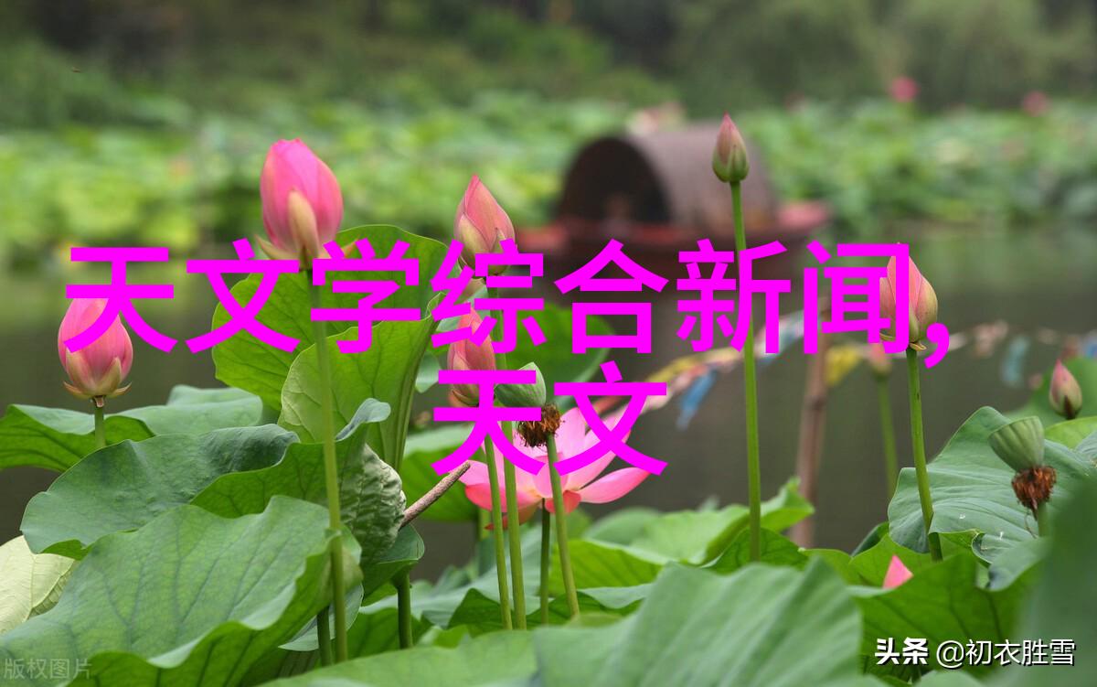 免费人才测评软件我要告诉你这款神器