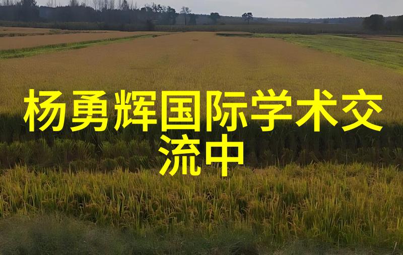低温等离子灭菌器的幽默原理让细菌们在寒风中跳舞