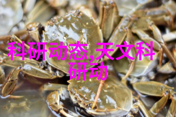 秘密之室大型微波干燥设备背后的神秘实验