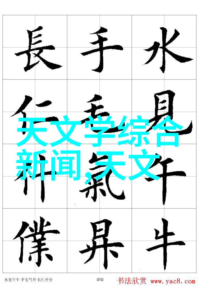旋涡之心泵的秘密世界