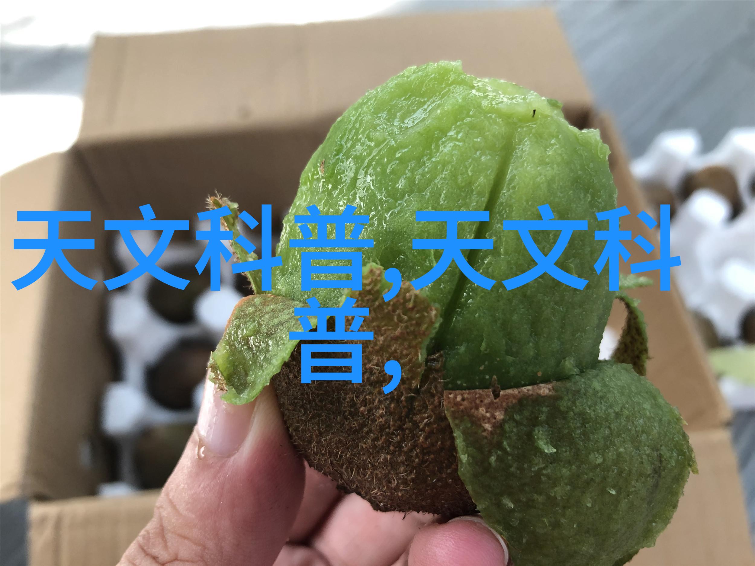 最详细的装修安装顺序家居美化工程全过程指南