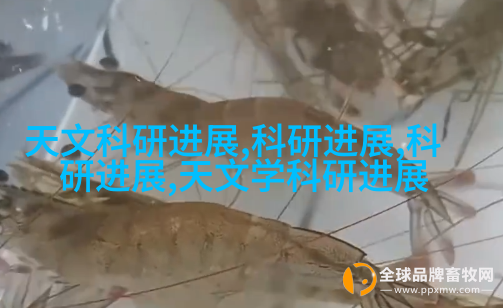 案例2