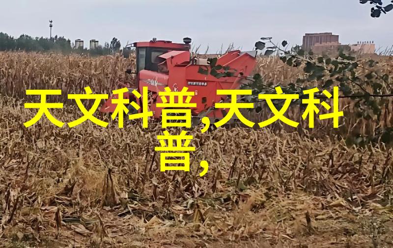 温馨之室家居客厅装饰艺术的完美诠释