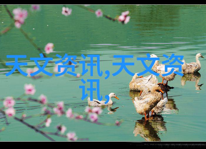 电蒸汽发生器的秘密如何高效利用蒸箱空间