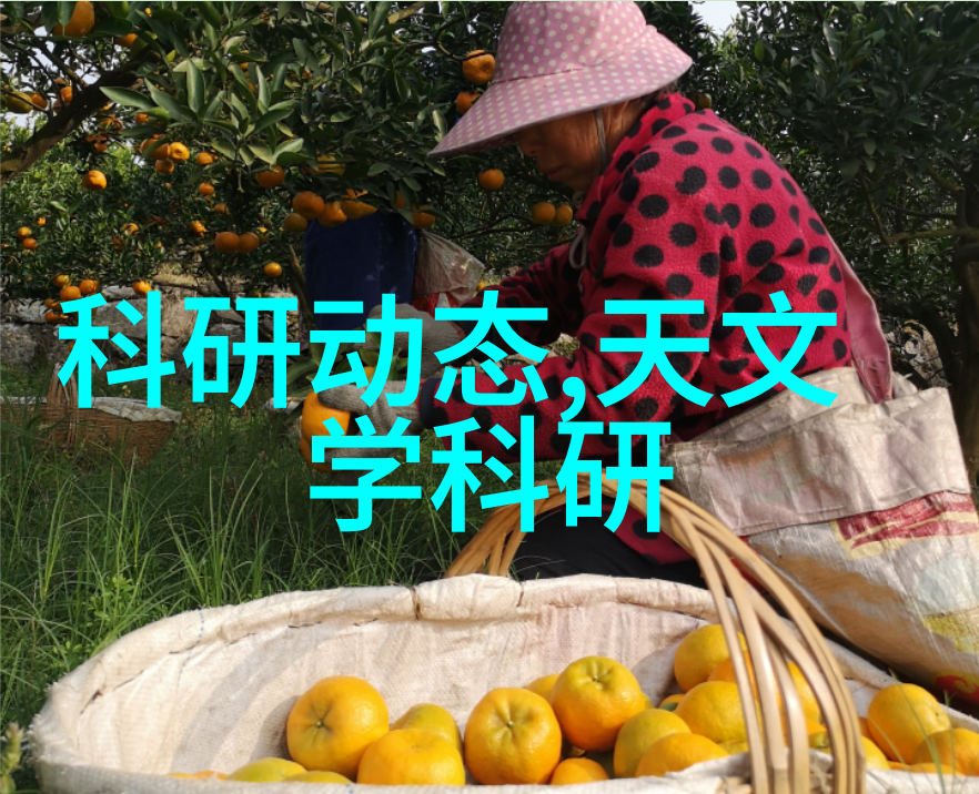 机械小巧精密加工的奇迹机器