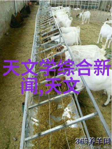 装饰板材温馨家居的艺术墙面