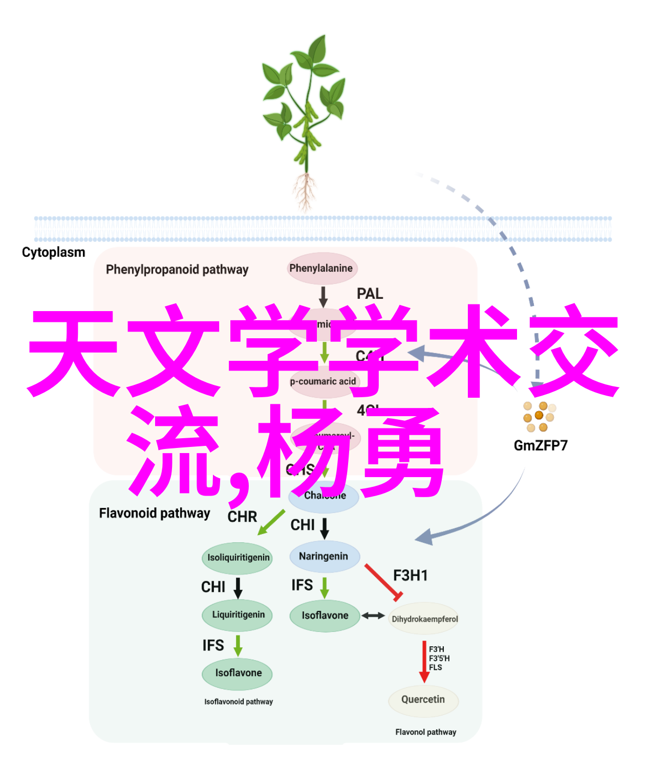 小型污水处理设备的应用与维护