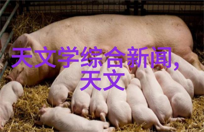 未来几年内市场上对于高性能非标不锈钢矩鞍环填料的需求将会增加吗