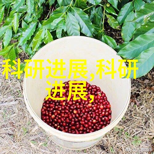 雾霭中的净化废气系统背后的秘密