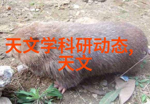 探索下水道的秘密揭开城市隐蔽世界的面纱
