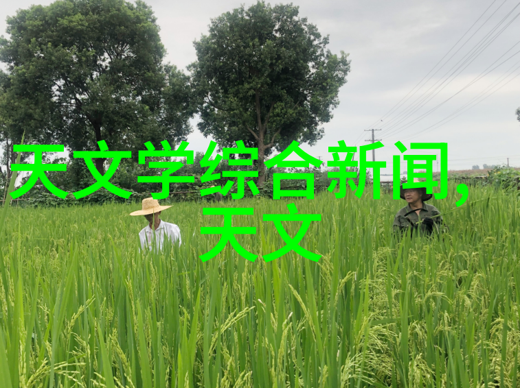 厨房局部装修烹饪新篇章的艺术品种植